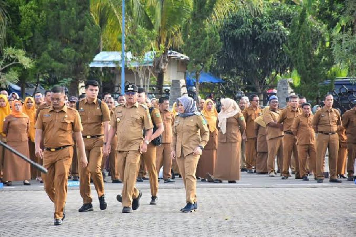 Forum Diskusi CPNS: Cara Efektif Mempersiapkan Diri Menghadapi Seleksi
