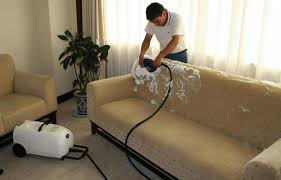 Jasa pembersih sofa sosmed