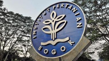Tips Lolos Ujian IPB: Cara Meningkatkan Nilai Rapor secara Efektif