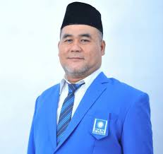Mengenal Lebih Dekat Profil Edison Sitorus (PAN) Daerah Pemilihan Banten II